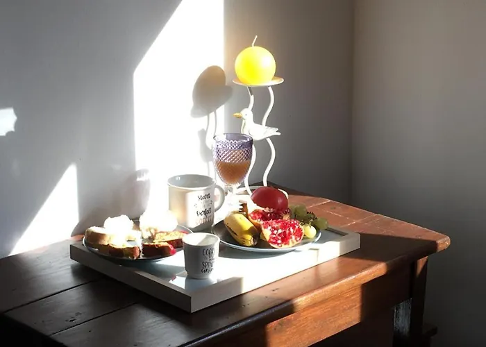 King Garfield House - Espaco De Charme Em * Bragança